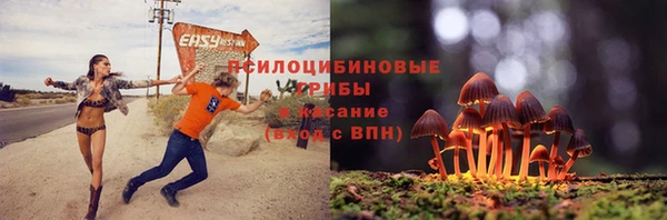 тгк Армянск