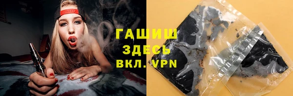 хмурый Арсеньев