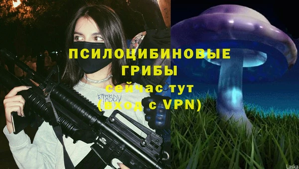 jwh Аркадак
