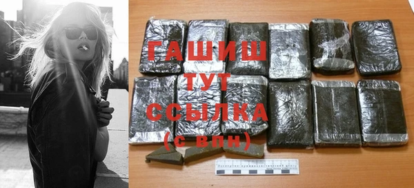 хмурый Арсеньев