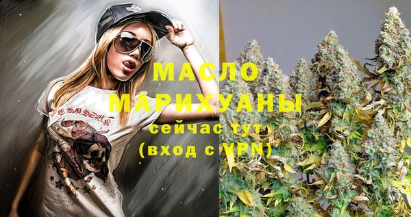 хмурый Арсеньев