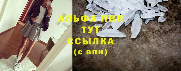 винт Алзамай