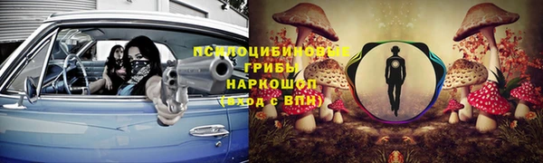 jwh Аркадак