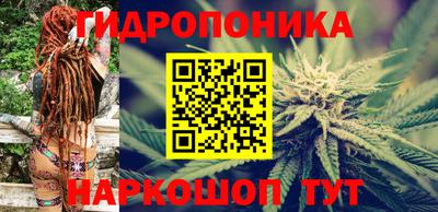 мдпв Обь