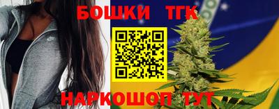 мдпв Обь