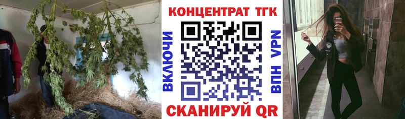Дистиллят ТГК концентрат Усть-Илимск